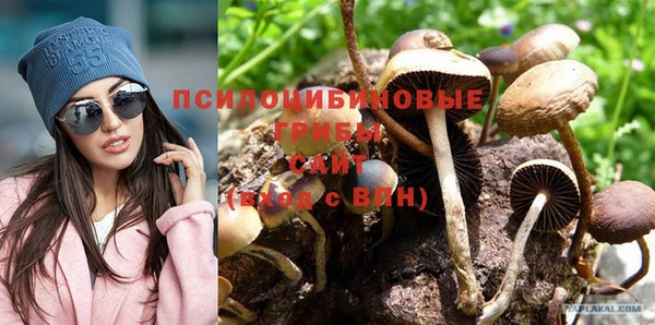 наркотики Богородск