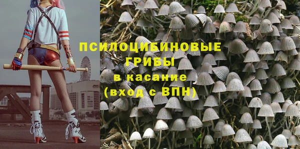 ПСИЛОЦИБИНОВЫЕ ГРИБЫ Богородицк